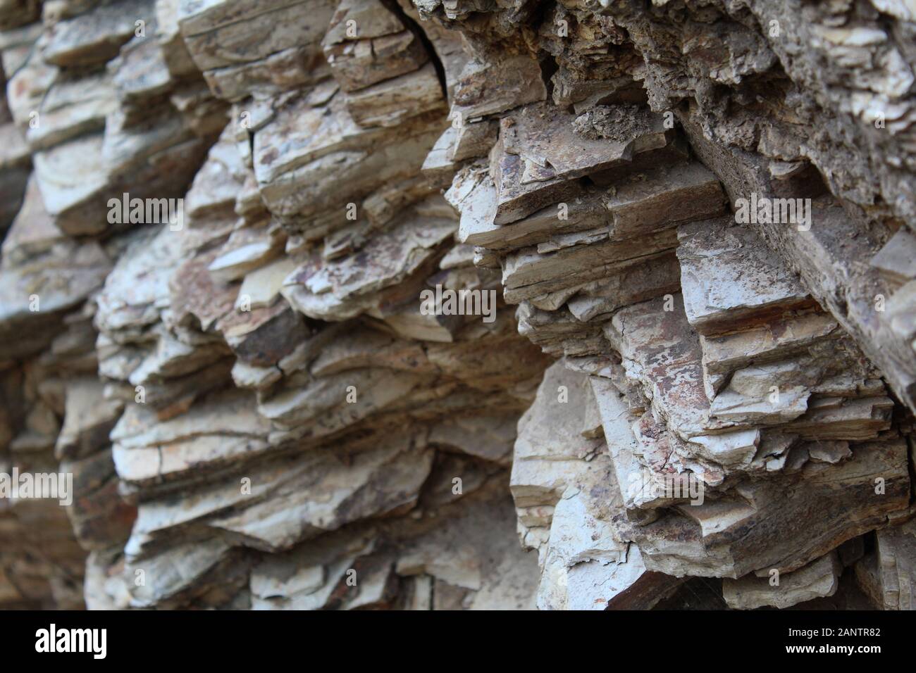 Diese Felsen machen einen Teil der Santa Monica Mountains im Will Rogers State Park aus und helfen, eine Umgebung für in Südkalifornien heimische Pflanzen zu schaffen. Stockfoto