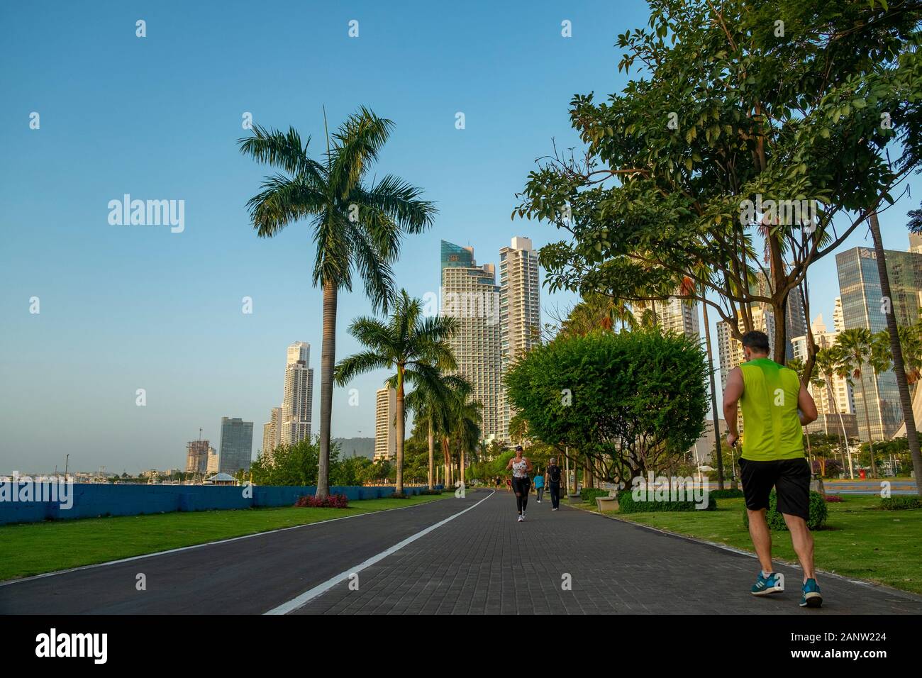 Nachmittags auf den Spuren neben Balboa Avenue oder Cinta Costera bayside Straße voller Jogger, Radfahrer und Skater, Panama, Mittelamerika Stockfoto