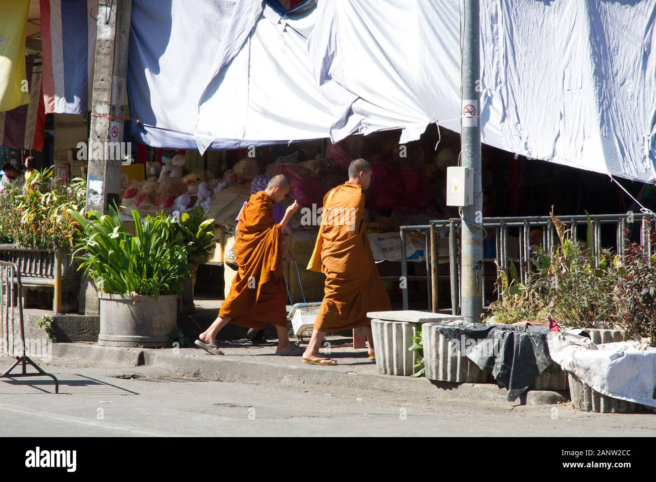 Buddhistische Mönch, die auf der Straße Chiang Mai Thailand spazieren gehen Stockfoto