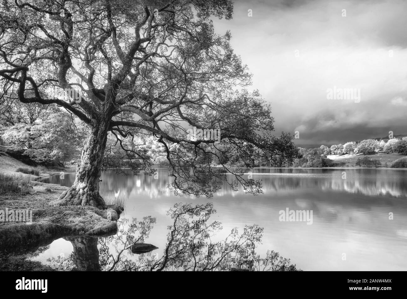 Atemberaubende Herbst Landschaft des Lake im Sonnenaufgang weiches Licht in der englischen Landschaft Stockfoto