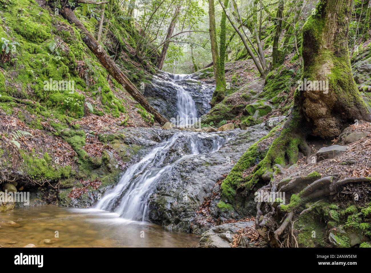 Becken fällt fließt nach dem Winterregen Stockfoto