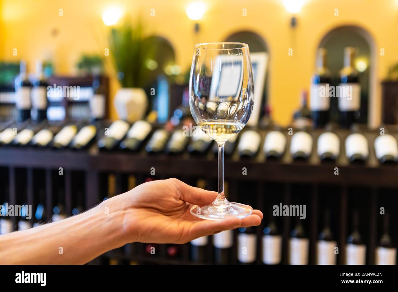 Ein Glas Weisswein auf einer Hand in selektiven Fokus Nahaufnahme gegen Wein Flaschen auf hölzernen Regalen, Weinproben weine Anzeige Hintergrund Stockfoto