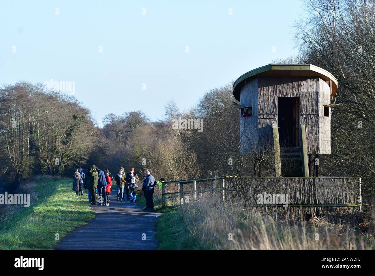 Schinken Wand Nature Reserve, Somerset, UK. 19. Jan 2020. Große Menschenmengen, drehen Sie an den Ufern des Ham Wand Naturschutzgebiet der Starling murmuration an einem kalten Nachmittag im Januar zu sehen. Foto Robert Timoney/Alamy/Live/Aktuelles Stockfoto