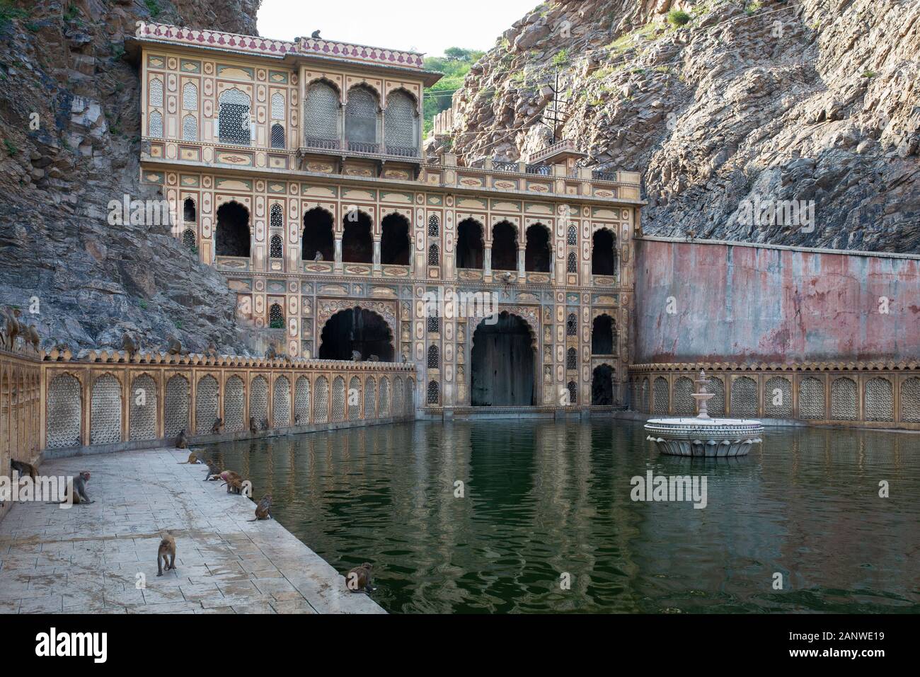 Affentempel, Hanuman Ji Temple, Jaipur, Indien Stockfoto