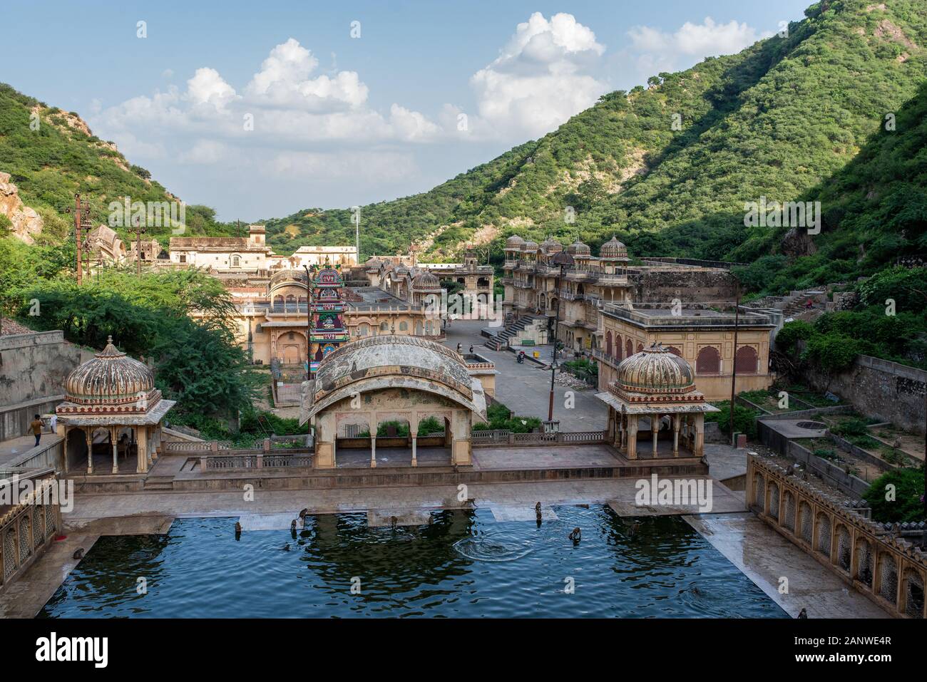 Affentempel, Hanuman Ji Temple, Jaipur, Indien Stockfoto