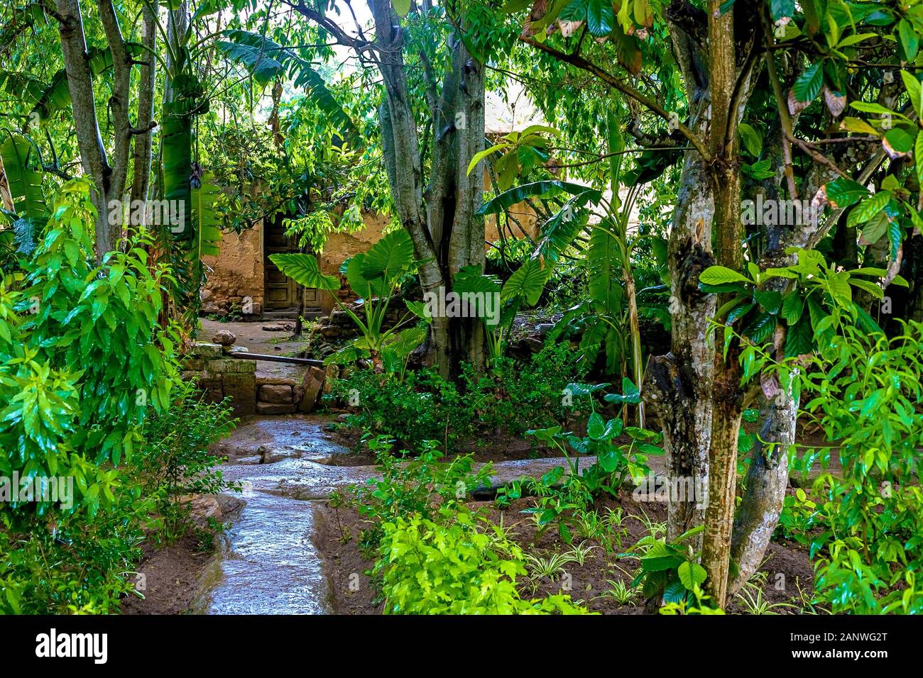 Tropischer Garten im Sala Colonia und Islamischen komplexe Chellah, Moschee und Minarett. Chellah ist die Nekropole von Rabat. Marokko. Stockfoto