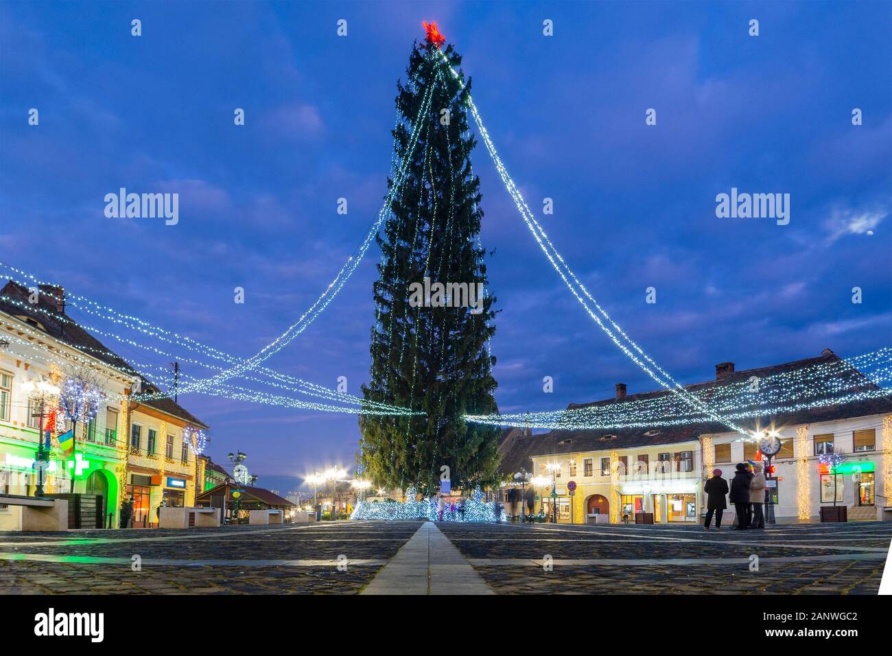 Winternacht Stadtbild mit Weihnachtsbaum im historischen Zentrum von Cisnadie (Kreis Sibiu), Siebenbürgen, Rumänien Stockfoto