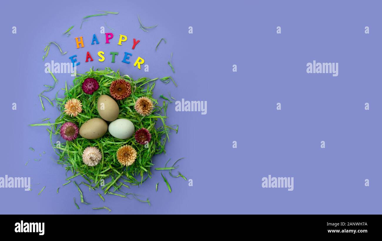 Ostern Zusammensetzung mit Nest, Eier und bunte Buchstaben auf Violett Hintergrund. Text Frohe Ostern. Stockfoto