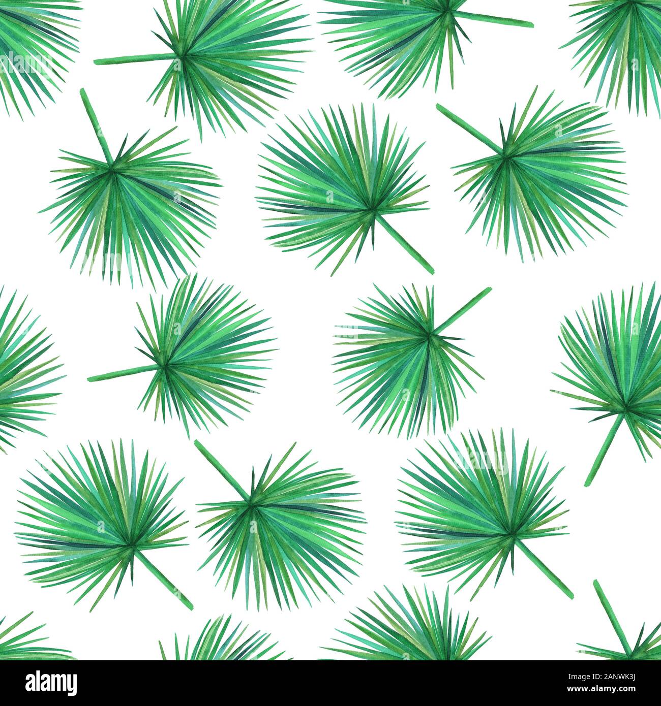 Aquarell grün Palm Blätter auf einem weißen Hintergrund. Nahtlose Muster. Abbildung. Stockfoto