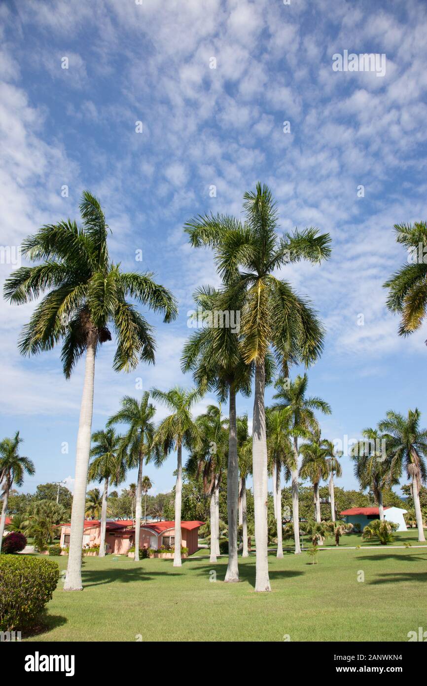 Reisen in Kuba Stockfoto