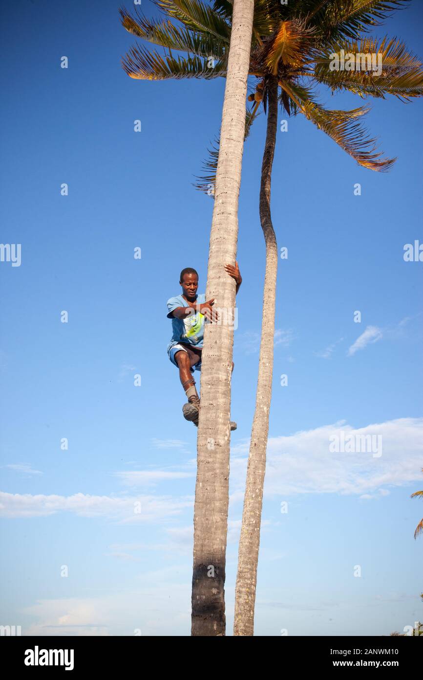Reisen in Kuba Stockfoto
