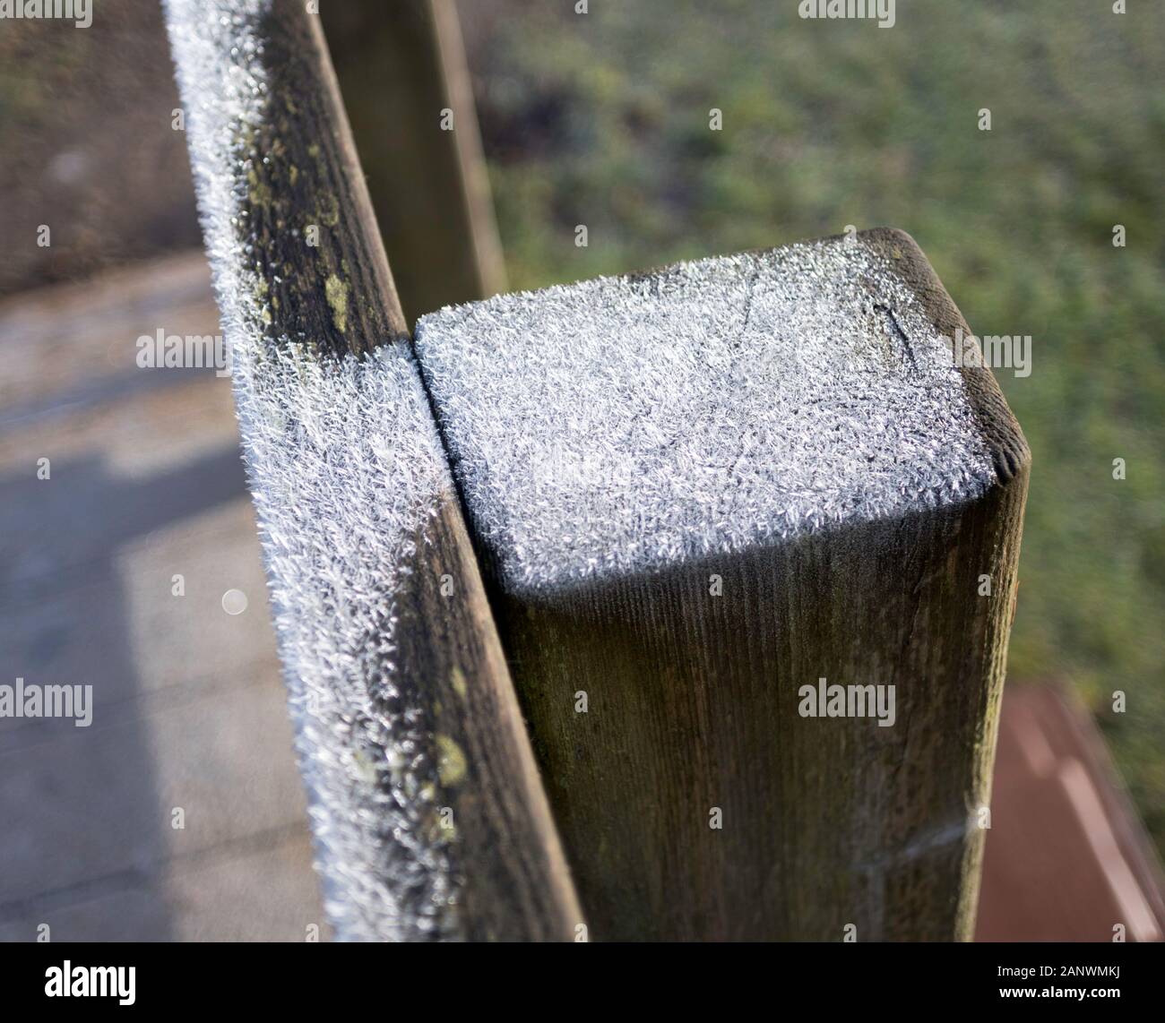 Reif auf der Oberseite eines fencepost, Northumberland, England Großbritannien Stockfoto