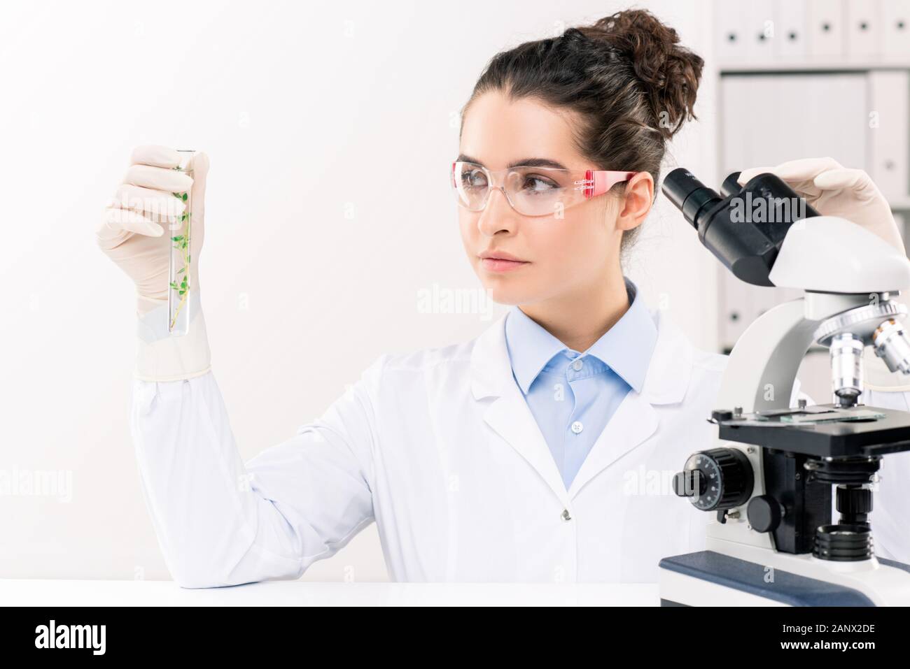 Junge weibliche Biologe auf der Suche nach Kolben während des Studiums grüne Pflanze, die im Labor Stockfoto