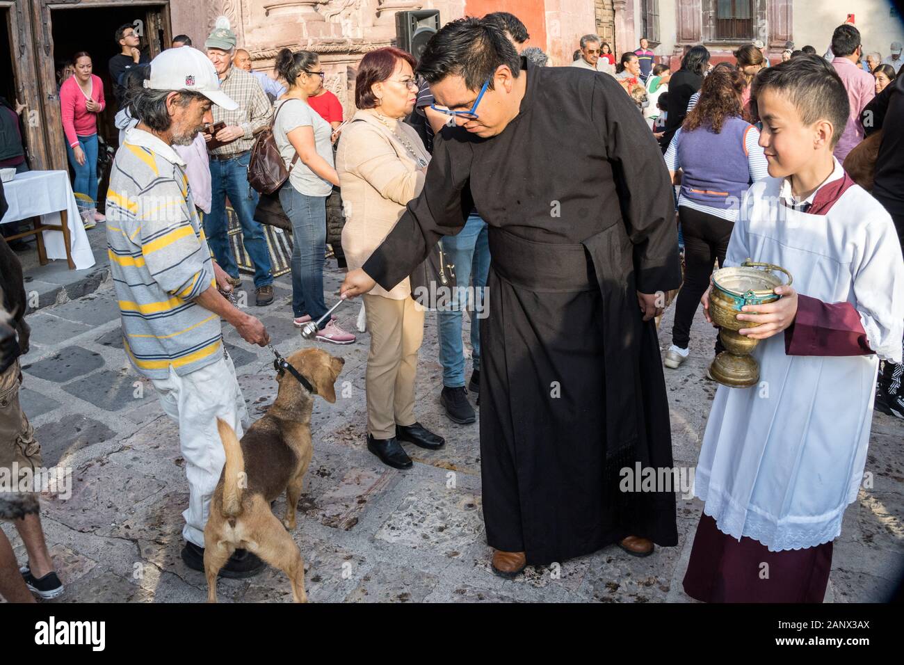Eine römisch-katholische Priester segnet ein Hund während der jährlichen Segnung der Tiere am Fest des San Antonio Abad an Oratorio de San Felipe Neri Kirche Januar 17, 2020 im historischen Zentrum von San Miguel de Allende, Guanajuato, Mexiko. Stockfoto