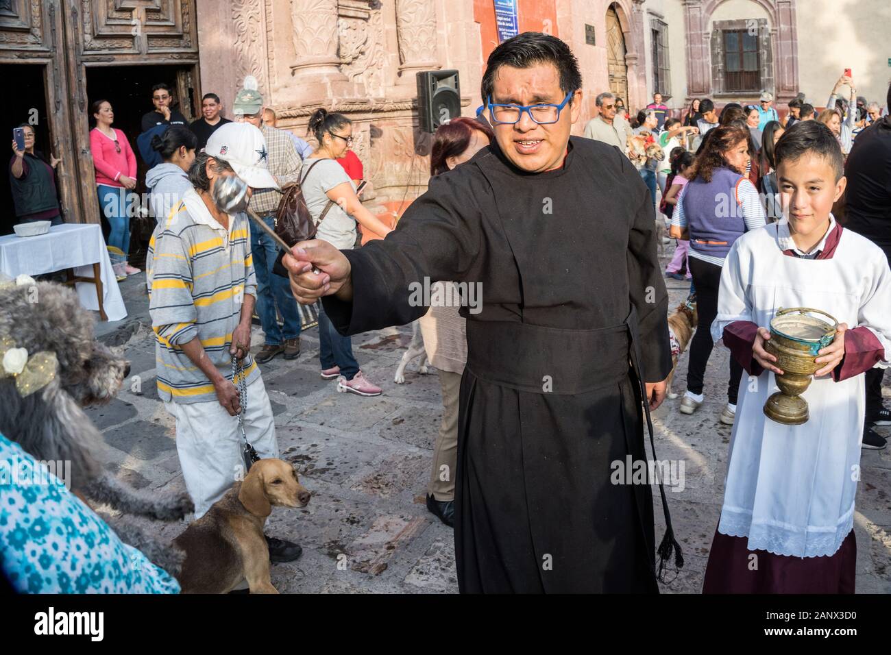 Eine römisch-katholische Priester segnet ein Hund während der jährlichen Segnung der Tiere am Fest des San Antonio Abad an Oratorio de San Felipe Neri Kirche Januar 17, 2020 im historischen Zentrum von San Miguel de Allende, Guanajuato, Mexiko. Stockfoto