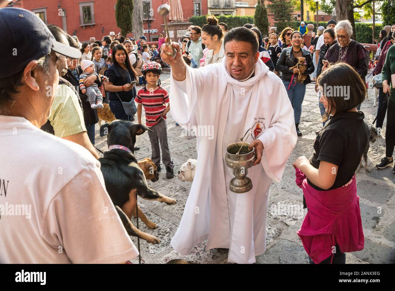 Eine römisch-katholische Priester segnet Hunde und ihre Besitzer während der jährlichen Segnung der Tiere am Fest des San Antonio Abad an Oratorio de San Felipe Neri Kirche Januar 17, 2020 im historischen Zentrum von San Miguel de Allende, Guanajuato, Mexiko. Stockfoto