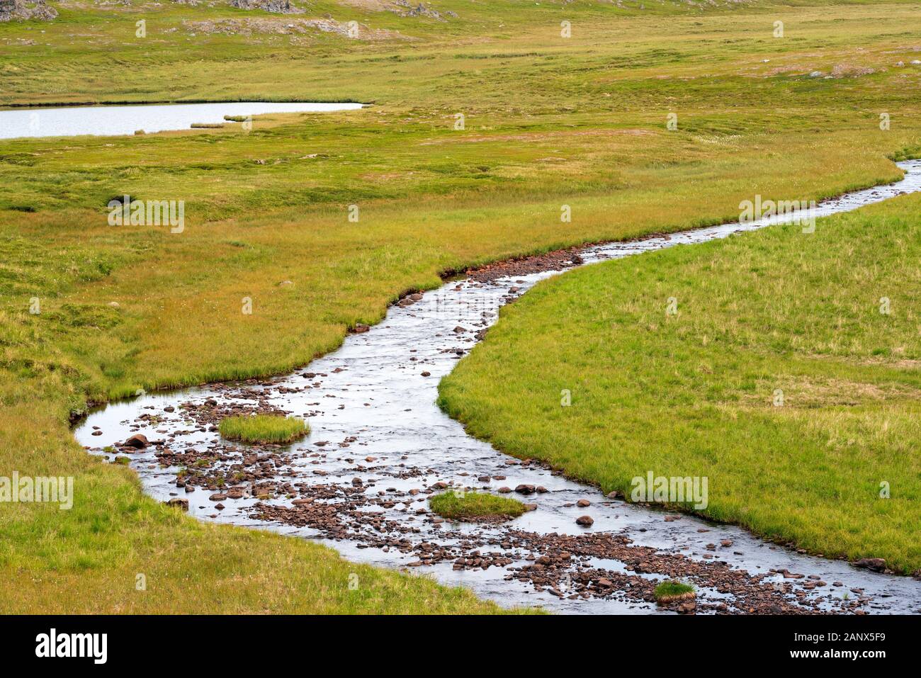 Schlängelnden Bergbach durch Tundra Landschaft läuft, Creek Banken mit grünem Gras Wachstum bedeckt, Finnmark Norwegen Stockfoto