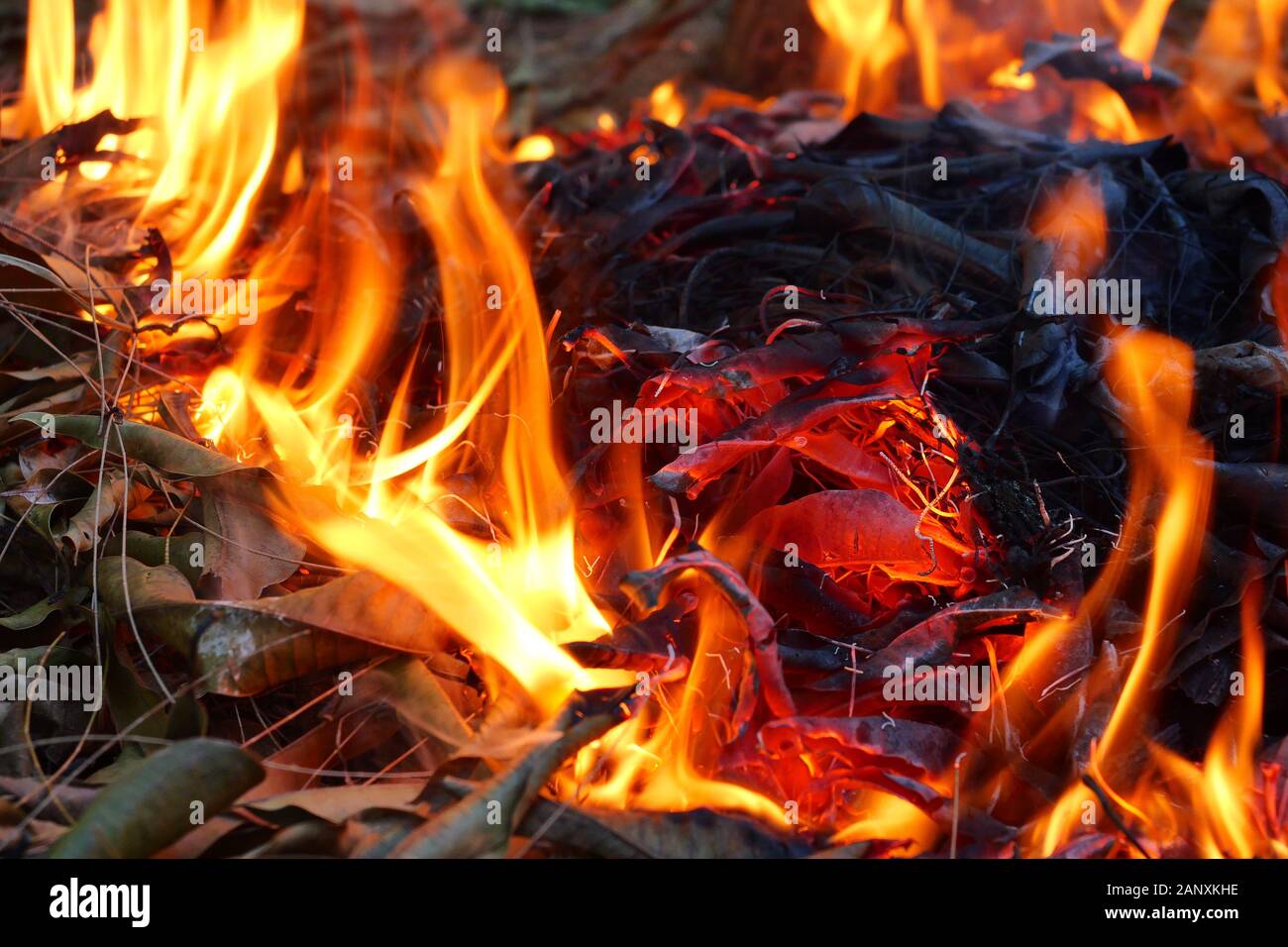 Orange Farbe Feuer Flamme und schwarzen Rauch von brennenden Stöcke, Lagerfeuer mit Verbrennungsluft Schadstoff, Brennholz und Müll brennen Stockfoto