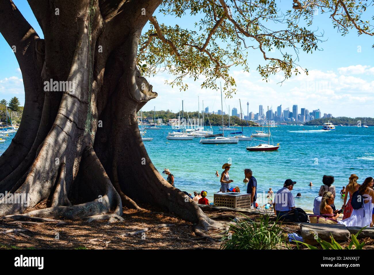 Sydney, AUSTRALIEN - 18. MÄRZ 2018 - Freunde und Familien entspannen sich im Schatten eines riesigen Baumes im Robertson Park an der Watson's Bay Stockfoto