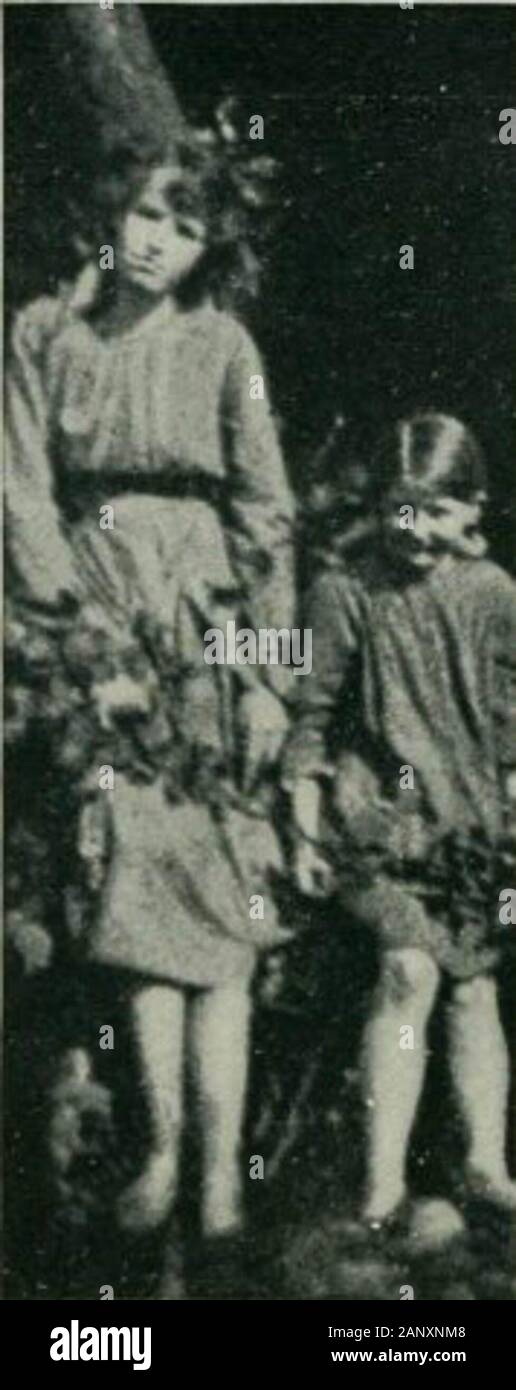 Frances griffiths Fotos und Bildmaterial in hoher Auflösung Alamy