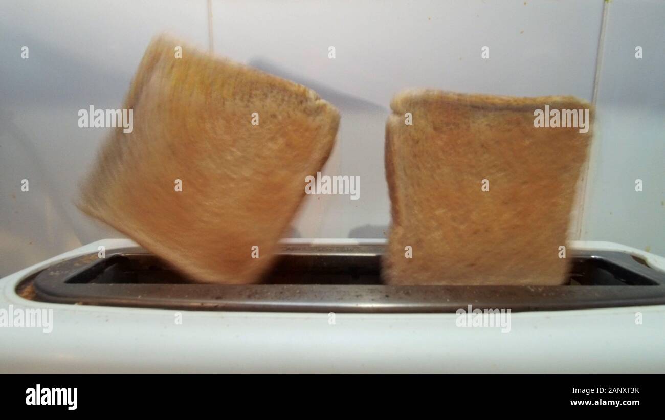Toast von Fliegen Stockfoto