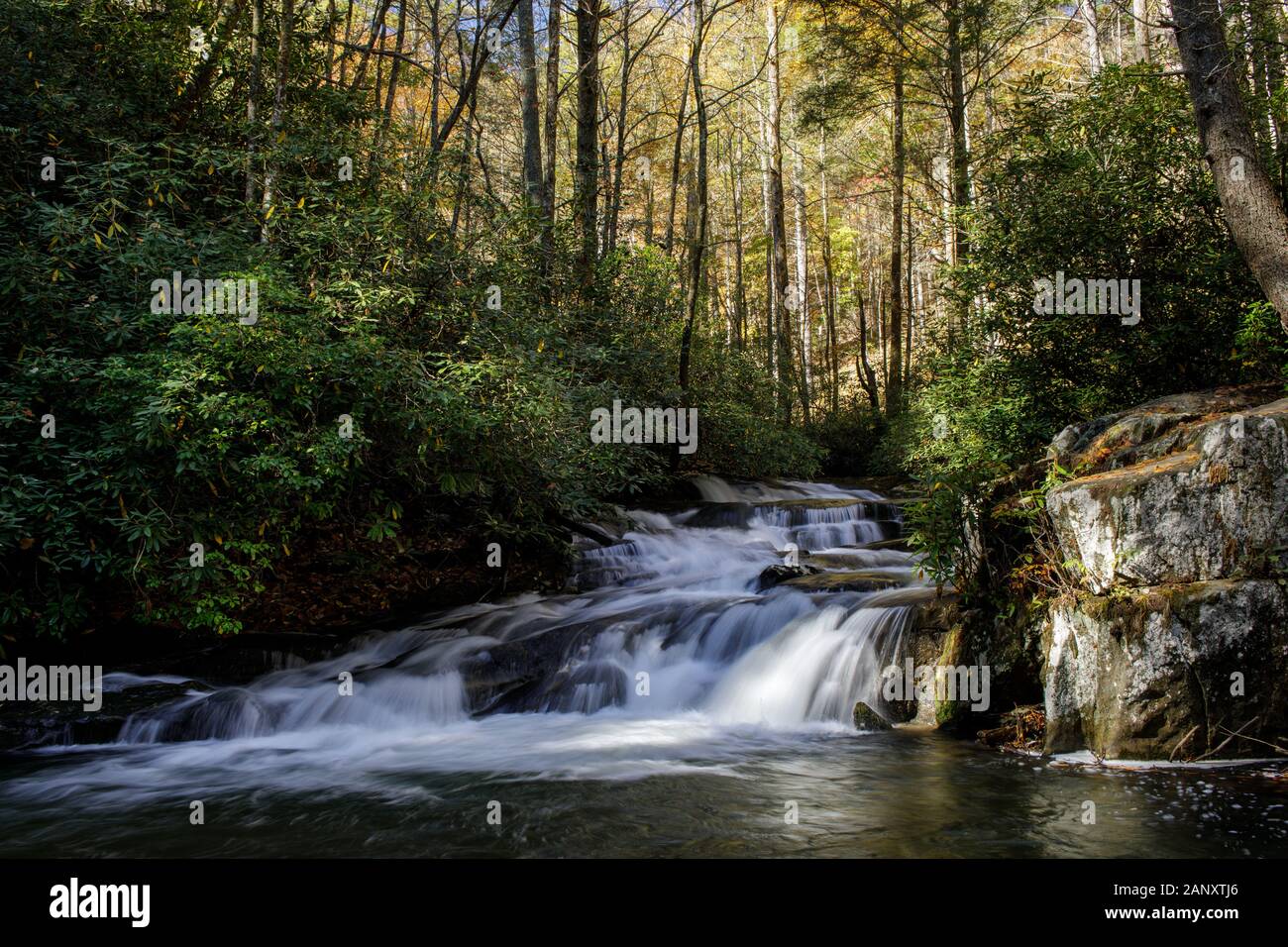 Herbst, Rabun County, Georgia. In den späten Herbst Farben entlang Wildcat Creek. Wildcat Creek ist in der Rabun County in North Georgia entfernt. Es fließt in der Regel Stockfoto