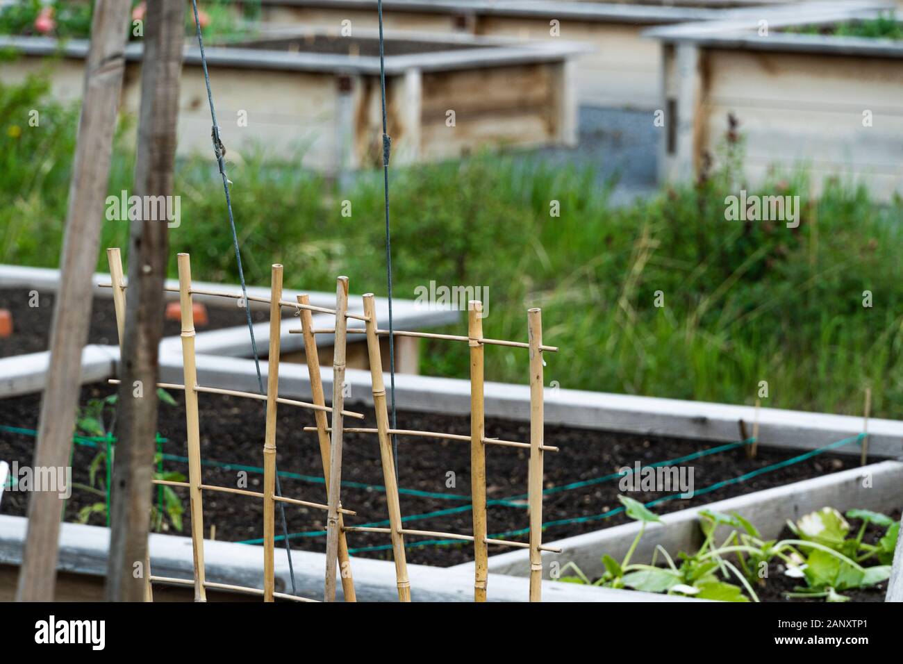 26. Mai 2019 - Calgary, Alberta Kanada - Gartenarbeit Zuteilungen in der Calgary, East Village Stockfoto