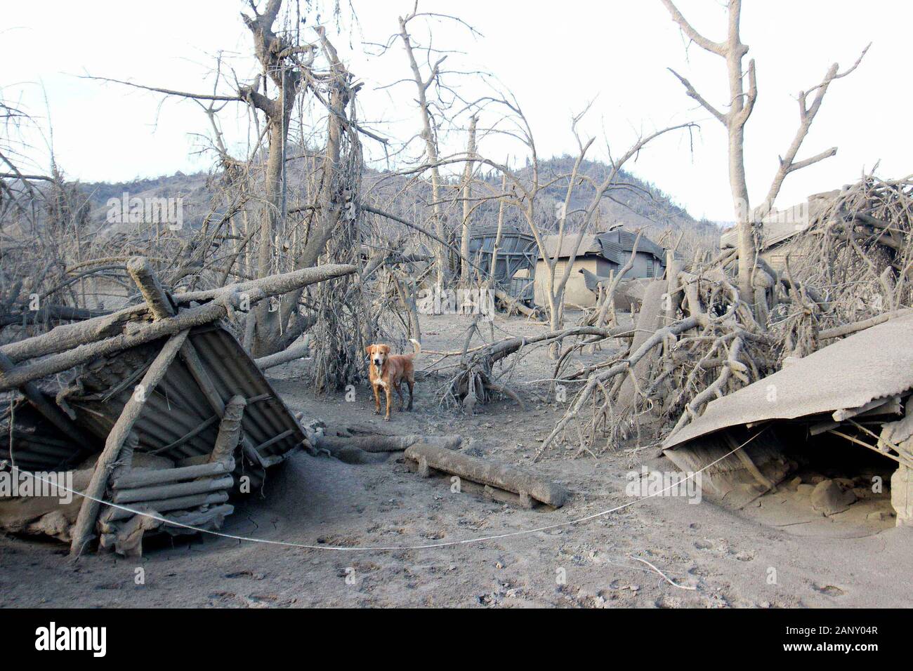 Philippinen. 19 Jan, 2020. Foot Print der Zerstörung am Ground Zero der Vulkan Insel, die eine große Bewohner und Touristen in San Isidro, Batangas am 19. Januar 2020. Das philippinische Institut für Vulkanologie und Seismologie (PHIVOLCS) warnte die öffentlichkeit auf mögliche starke Taal volcano Eruption, weil die Risse in der Strasse und Häuser und noch immer alert Nummer 4 für die Sicherheit der Öffentlichkeit. (Foto von Gregorio B. Dantes jr. Credit: Pacific Press Agency/Alamy leben Nachrichten Stockfoto