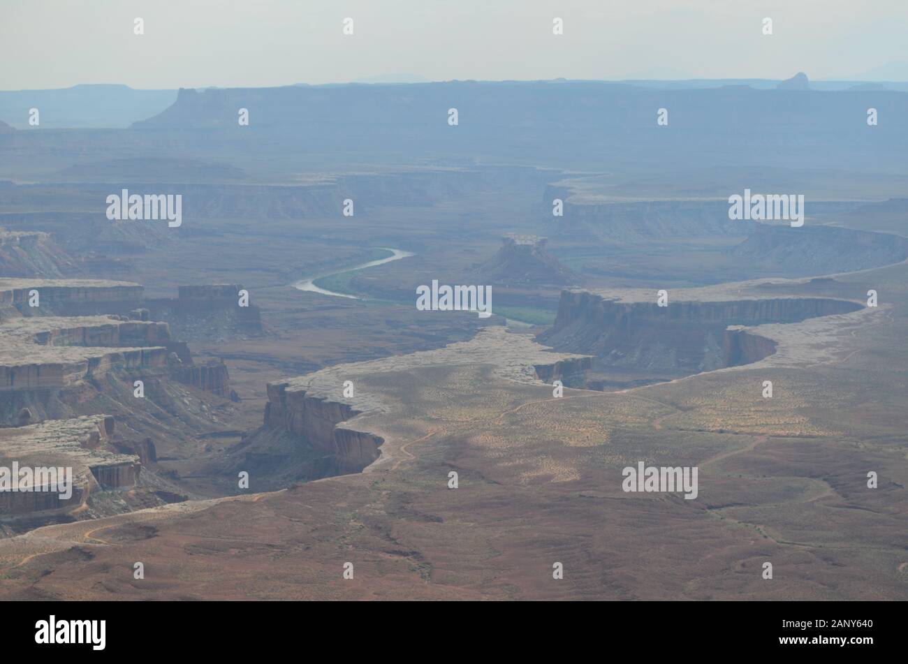 Frühsommer in Utah: Blick auf den weißen Rand, den Turks Head und den Green River auf der Insel im Sky District des Canyonlands National Park Stockfoto