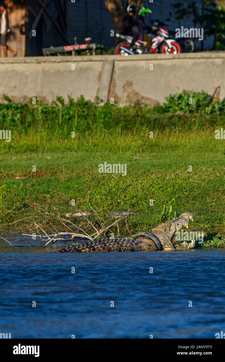 Motorcycle Tyre Stockfotos Und Bilder Kaufen Seite 2 Alamy