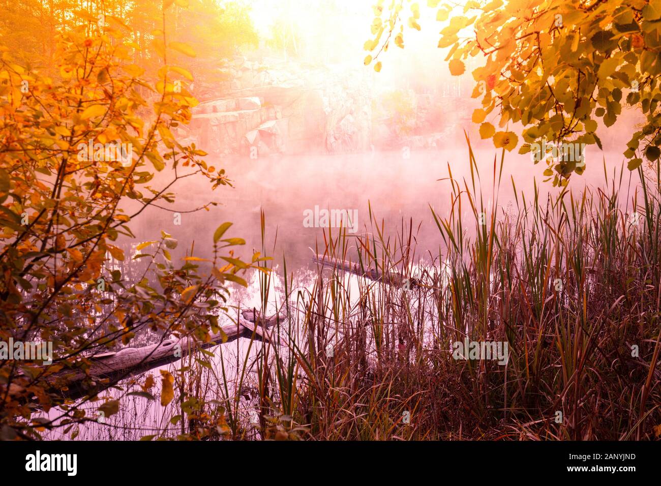 Nebeliger morgen früh. Sonnenaufgang über einem See mit einem felsigen Ufer. Ländliche Landschaft im Sommer Stockfoto