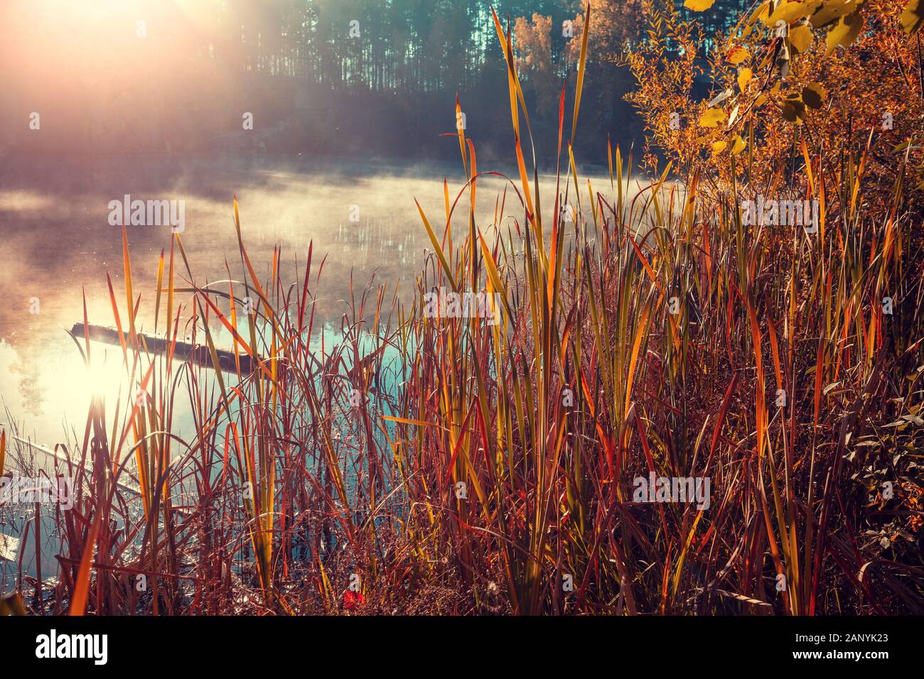 Early Misty Morning. Sonnenaufgang über dem See im Herbst Stockfoto