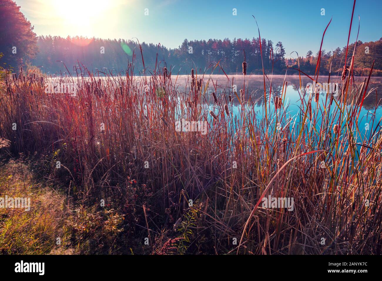 Early Misty Morning. Sonnenaufgang über dem See im Herbst Stockfoto