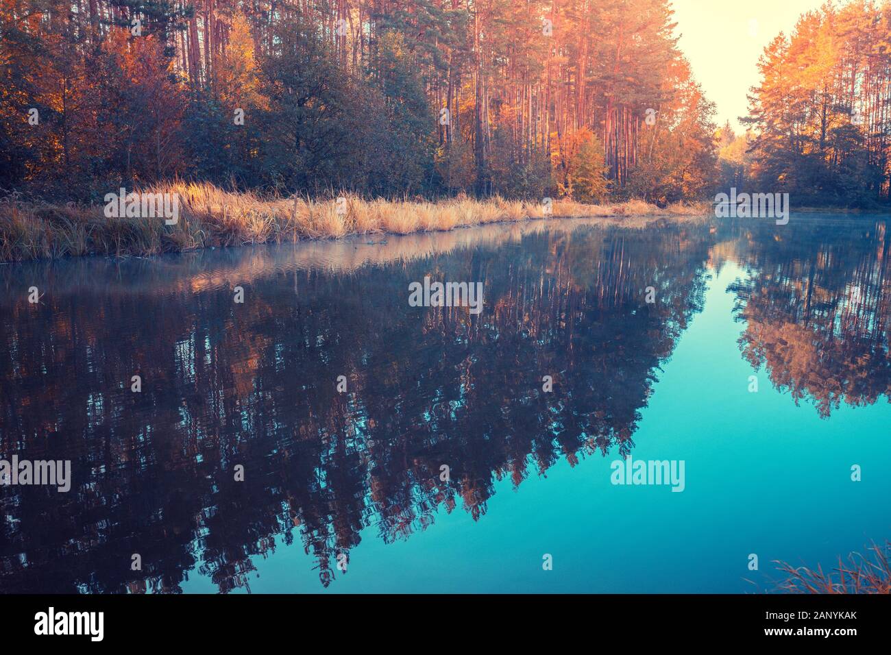 Early Misty Herbstmorgen. Sonnenaufgang über dem See Stockfoto