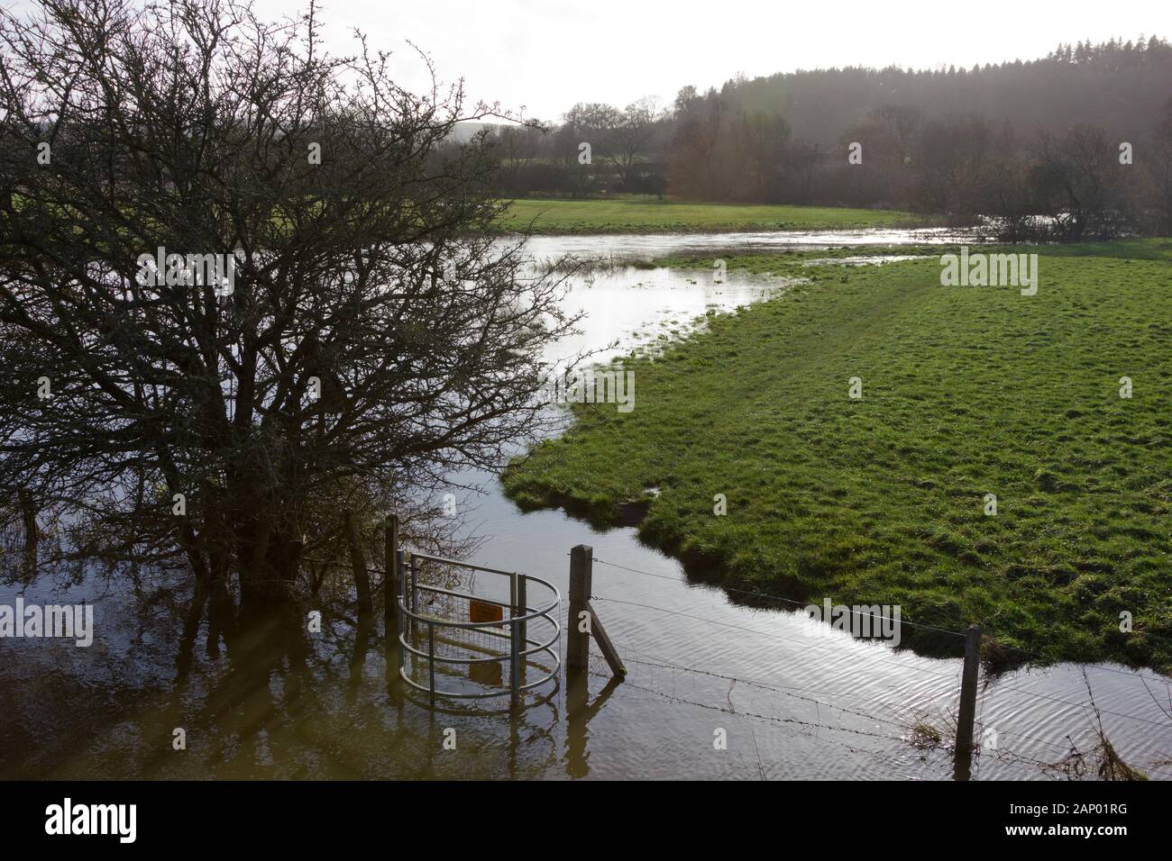 Fluss in der Flut, Dorset Stockfoto