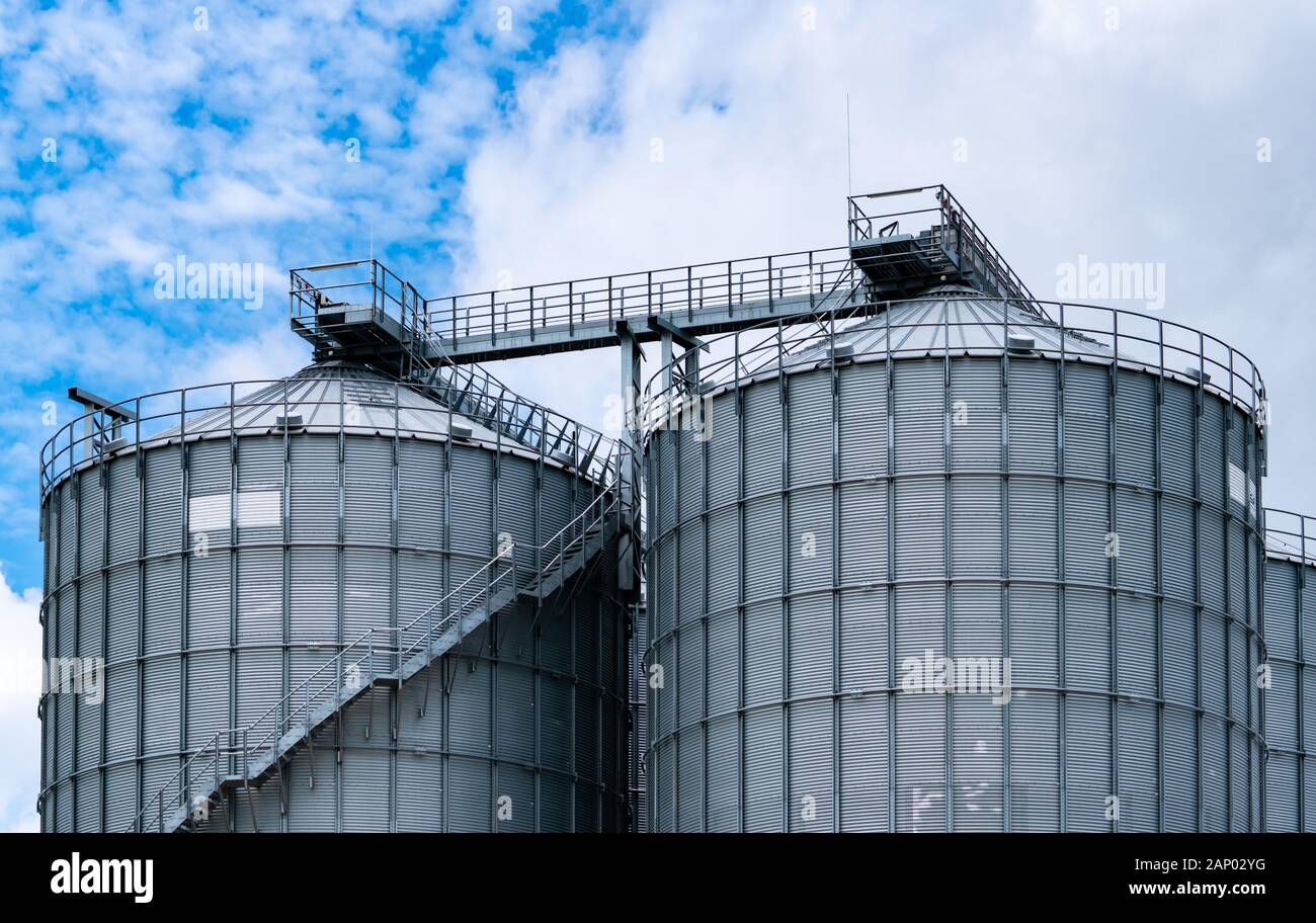Agrarwirtschaftliches Silo in der Fabrik der Futtermühle. Großer Tank für die Lagerung von Getreide in der Futtermittelherstellung. Saatgut-Vorratsturm für die Futtermittelproduktion. Kommerzieller Feed Stockfoto