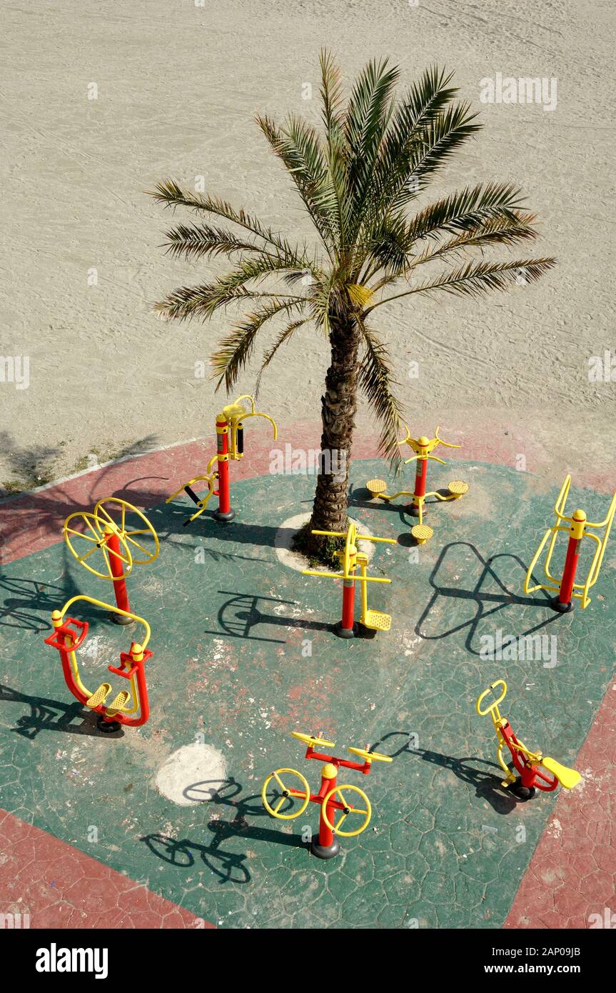 Palm auf Strand & Oudoor übung Ausrüstung, übung Raum, mit Fitnessgeräten, oder Kinderspielplatz Ceuta Spanien Stockfoto