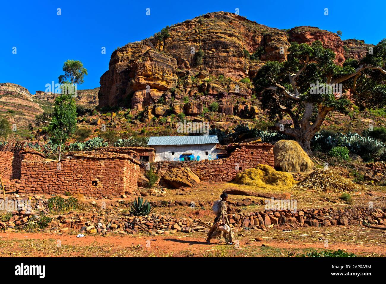 Traditionelle Hof im Gebirge, in der Nähe von Gheralta Hazwien, Tigray, Äthiopien Stockfoto