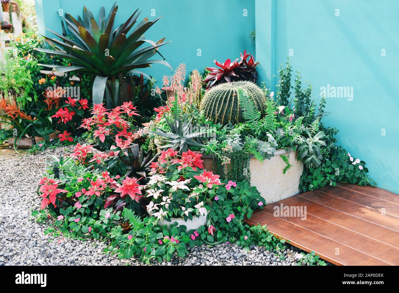 Home Gartenbau und dekorieren Indoor microgreen Gewächshaus Umgebungen geheime Gärten und moderne Gartenarbeit Setups/Blumen und Zierpflanzen gar Stockfoto