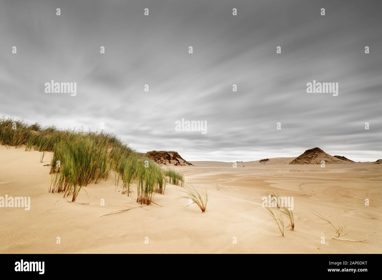 Wind bewegte Gras in einem weiten Bereich der Sanddünen, Bewegung Spuren der Wolken durch lange Belichtung, tiefe Wirkung - Polen, Slowinski Park Narodowy Stockfoto