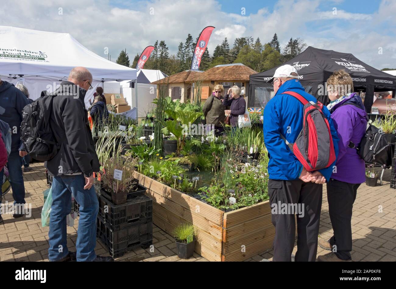 Die Leute, die auf der Suche nach Pflanzen auf einem Stand beim Spring Flower Show. Stockfoto