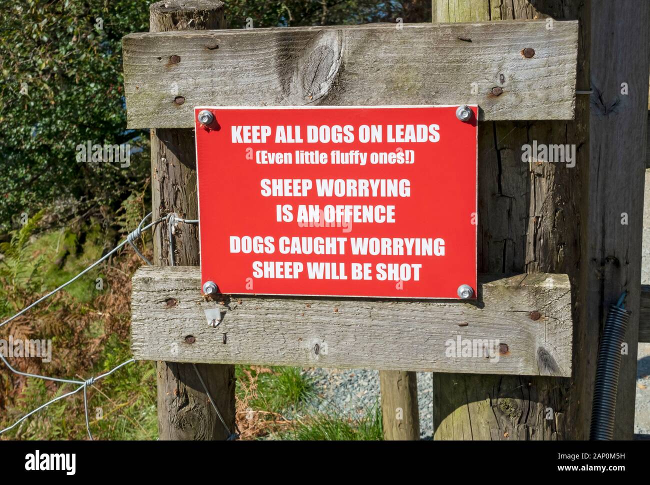 Hunde auf der Leitung, die Warnzeichen zu halten. Stockfoto