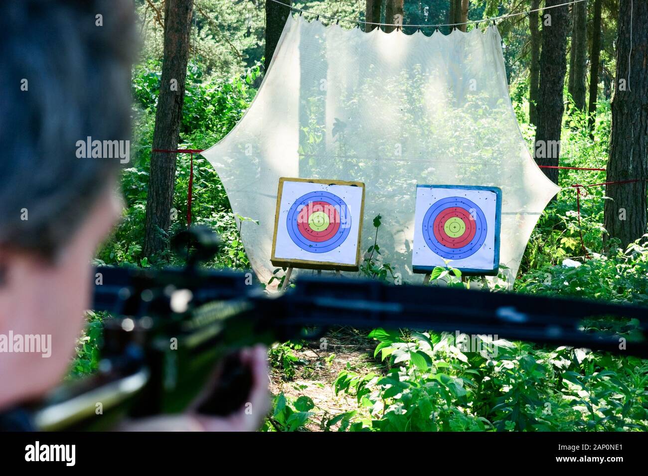 Mann, die Armbrust auf Ziele im Sommer Wald Stockfoto