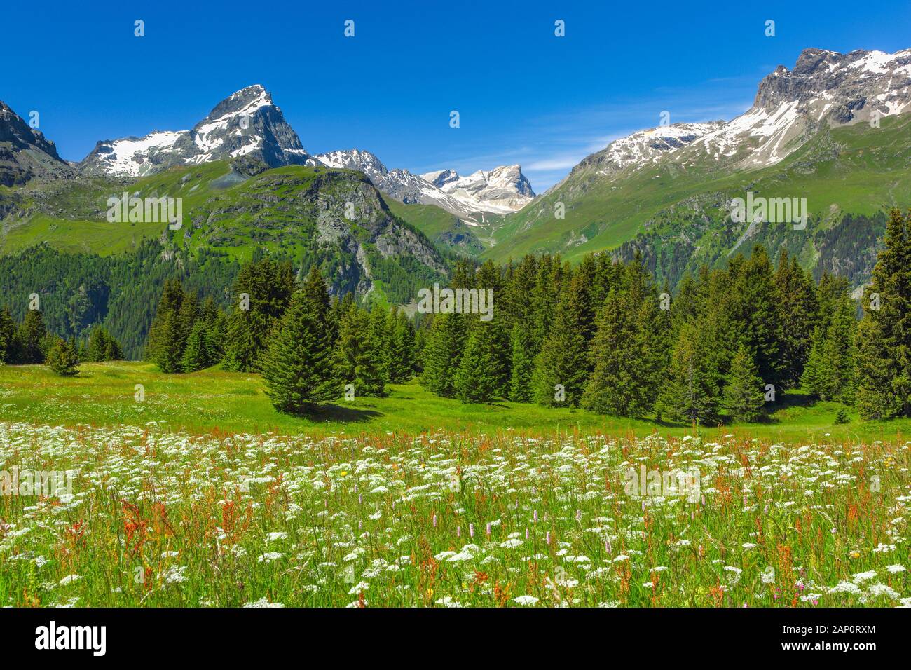 Alp Flix, ein Plateau, das als Alm genutzt wird. Graubuenden, Schweiz Stockfoto