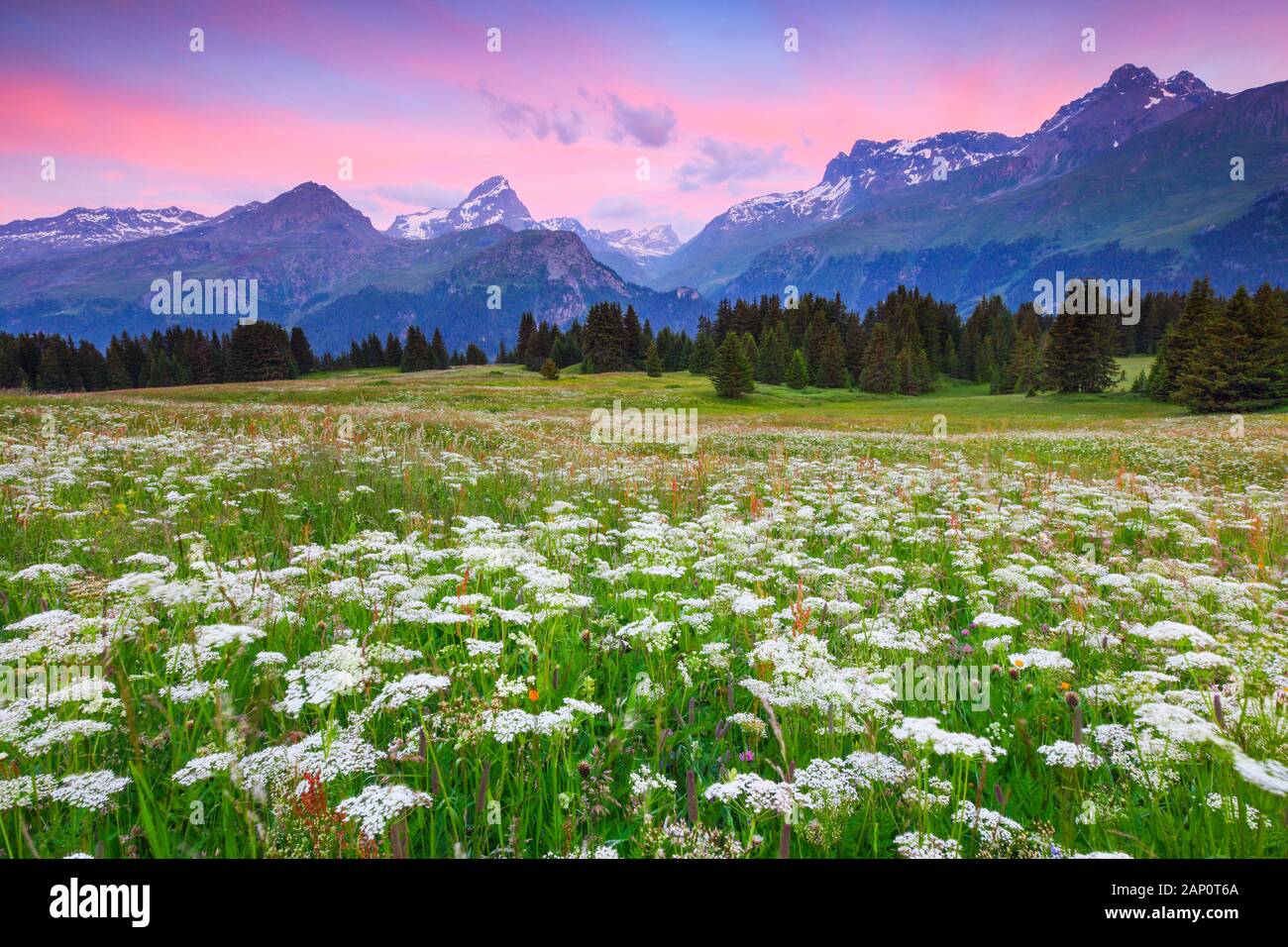 Alp Flix, ein Hochplateau, das morgens als Alm genutzt wurde. Graubuenden, Schweiz Stockfoto