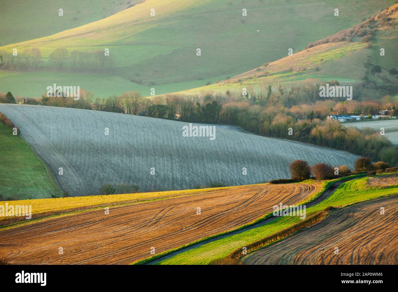 Wintermorgen in South Downs National Park, East Sussex, England. Stockfoto