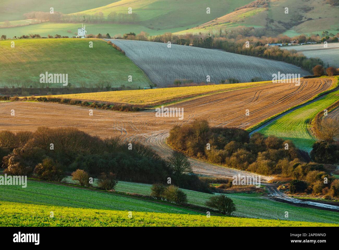 Wintermorgen in South Downs National Park, East Sussex, England. Stockfoto