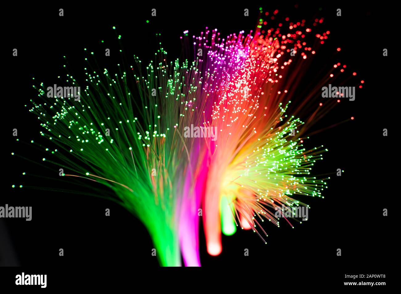 Fiber Optics netzwerk kabel für ultra-schnelle Internet Communications, dünne Fäden, Informationen mit hoher Geschwindigkeit bewegen. Stockfoto