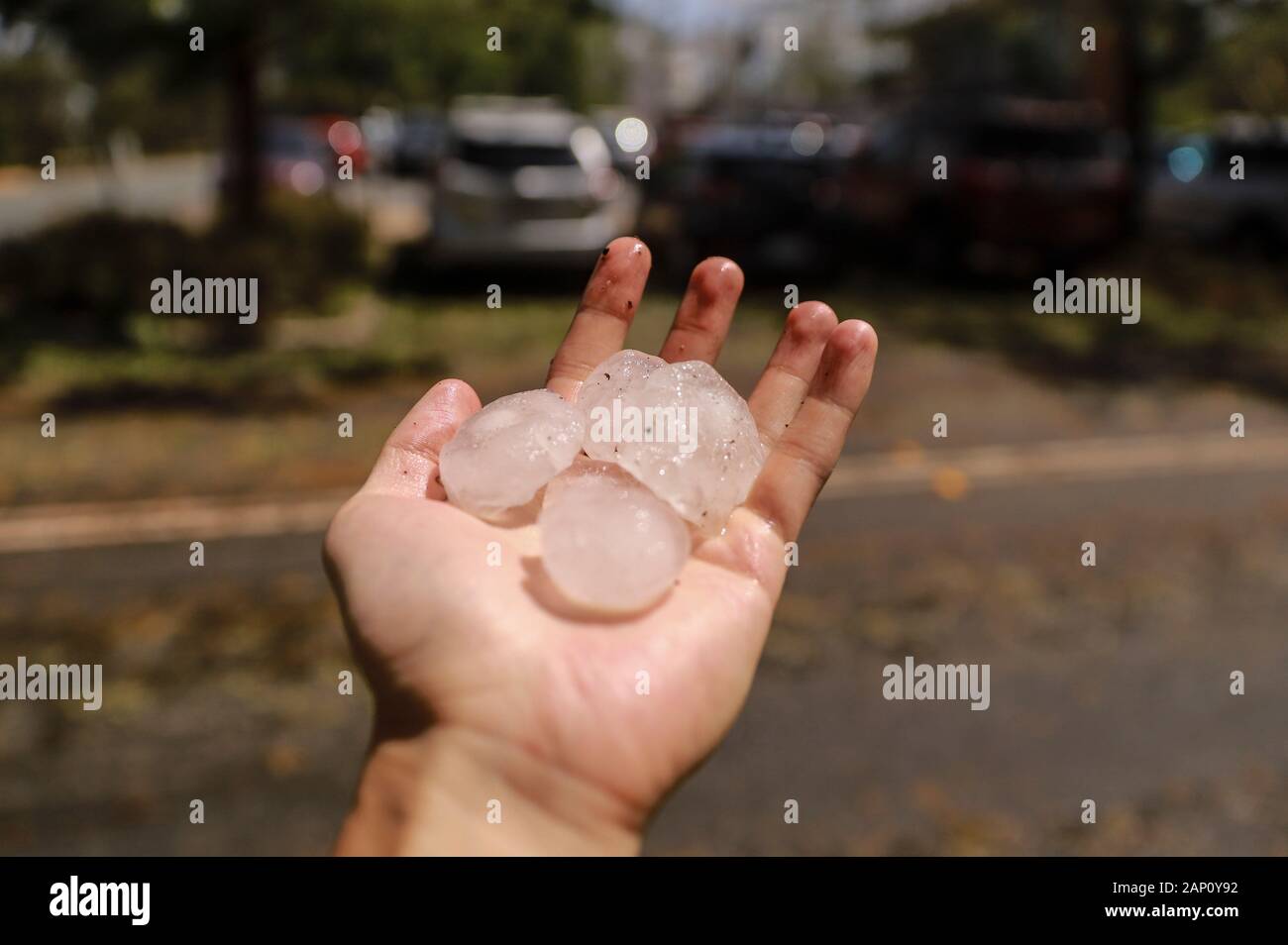 Canberra. 20 Jan, 2020. Foto auf Jan. 20, 2020 zeigt die hagelkörner in der Sturm in Canberra, Australien. Großer Hagel und starker Winde haben durch Canberra in einem Sturm am Montag abgerissen, wodurch schwere Staus und das Fahrzeug beschädigen. Credit: Liu Changchang/Xinhua/Alamy leben Nachrichten Stockfoto