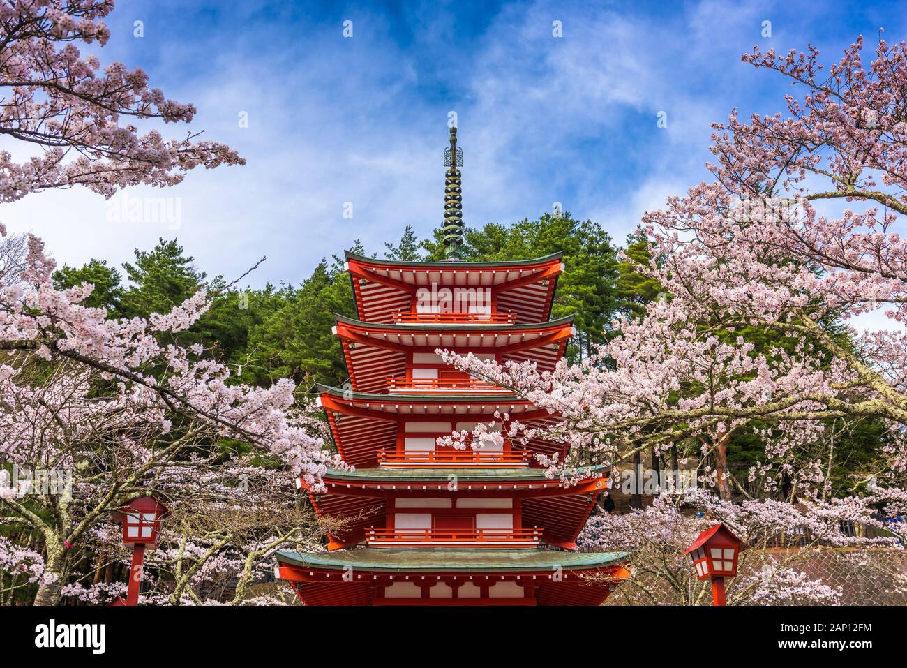 Fujiyoshida, Japan in der Chureito Pagode in Arakurayama Sengen Park im Frühling kirschblüten Saison. Stockfoto